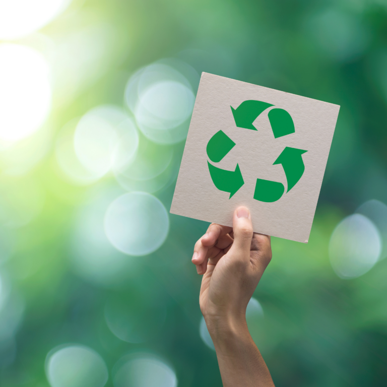 Innovating for the Environment